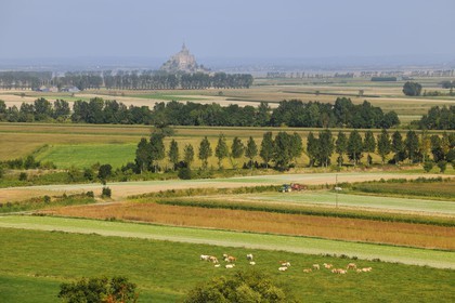 France, Ille-et-Vilaine (35), Baie du Mont-Saint-Michel, les champs et les polders du Mont côté breton depuis Roz-sur-Couesnon