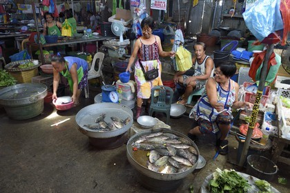 Philippines, province de Tarlac, Victoria, le marché, vente de poissons vivants