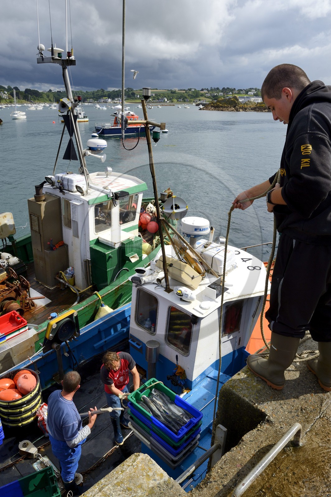 France, Finistere, Plougasnou,  trawlers returning from fishing in the port of Diben