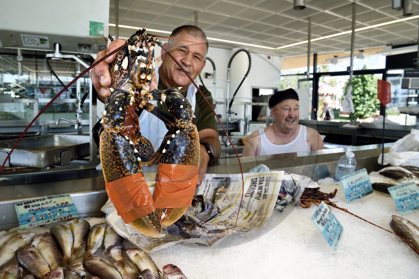 France, Var (83), Saint-Raphaël, le marché des pêcheurs, les pêcheurs Astrio à gauche et Gilbert à droite
