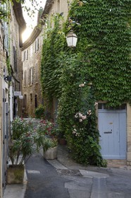 France, Vaucluse, Parc Naturel Regional du Luberon (Natural Regional Park of Luberon), Lourmarin, labelled Les Plus Beaux Villages de France (The Most Beautiful Villages of France), a narrow lane