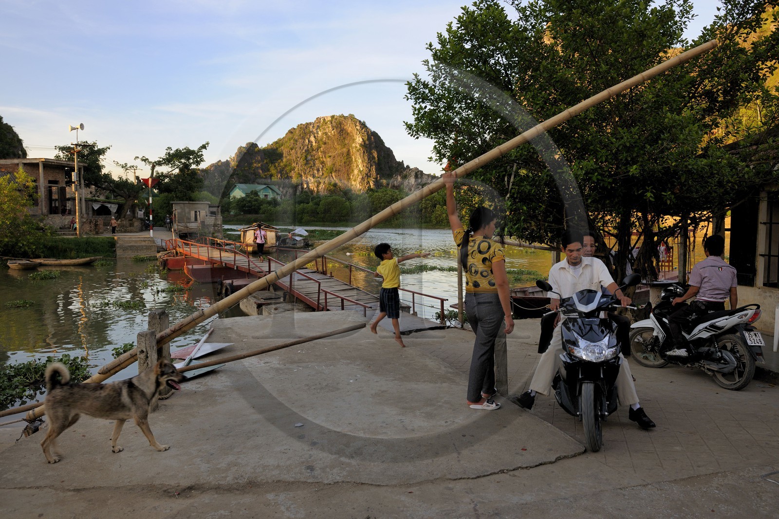 Vietnam, province de Ninh Binh, village insulaire de Kenh Ga, le seul pont d'accès au village