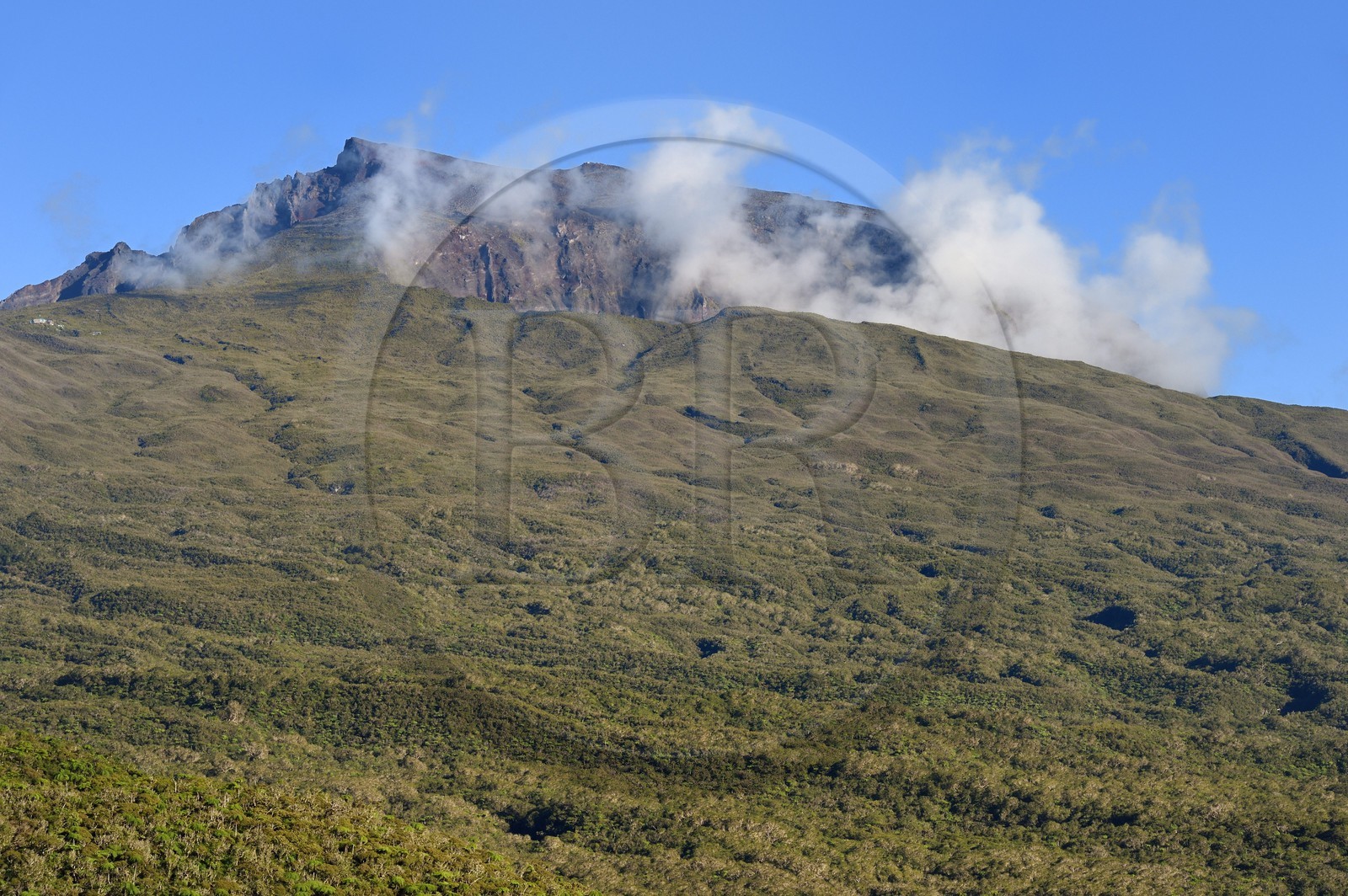 France, Ile de la Reunion, Saint Benoit, Parc national de La Reunion, classé Patrimoine Mondial de l'UNESCO, foret de Bébour, le Piton des Neiges