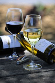 United States, California, Russian Valley River, De Loach Vineyard, glasses of red pinot noir and white Chardonnay