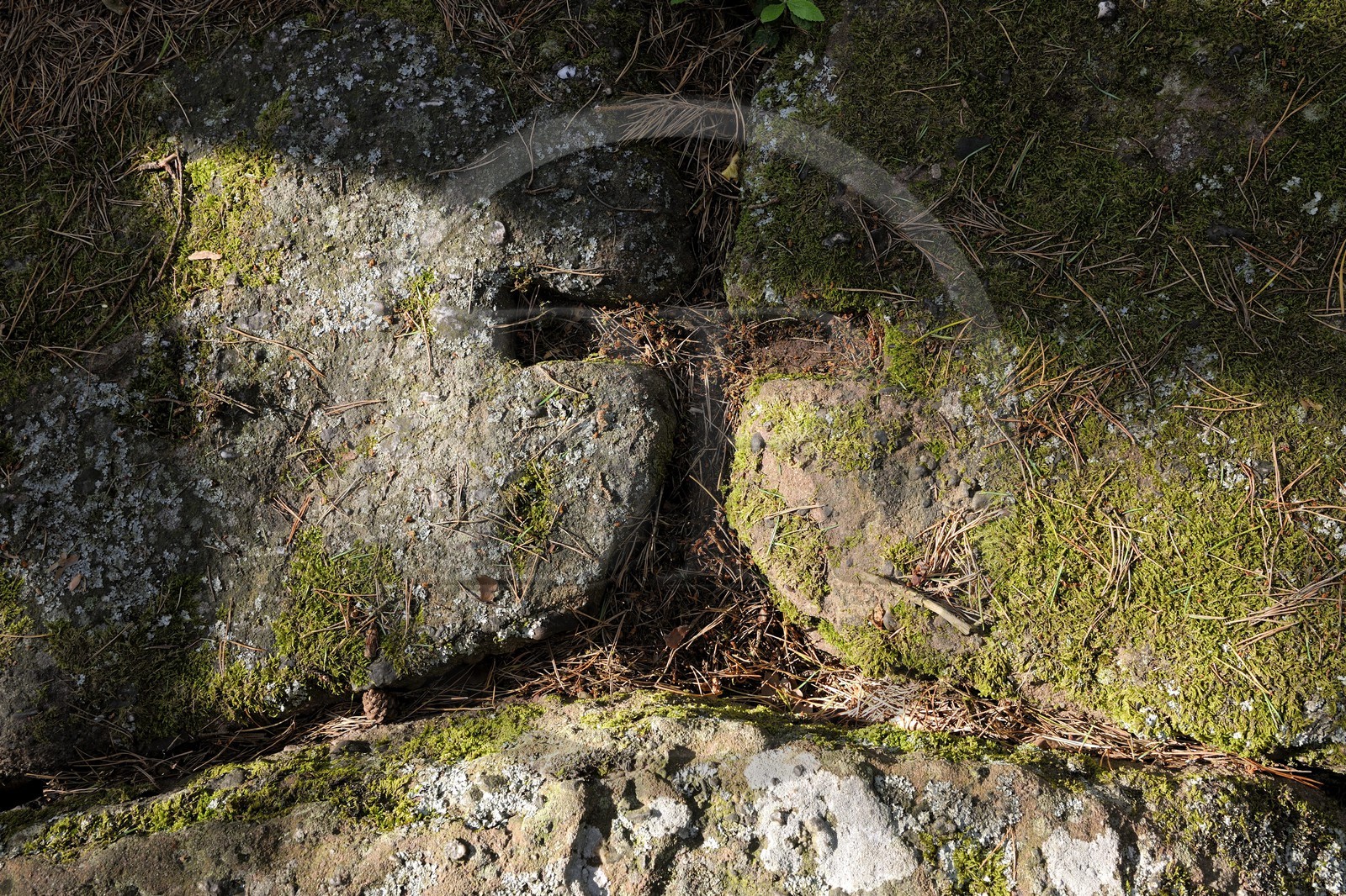 France, Bas-Rhin (67), le Mont Saint-Odile, le mur païen, les blocs étaient fixés par des mortaises