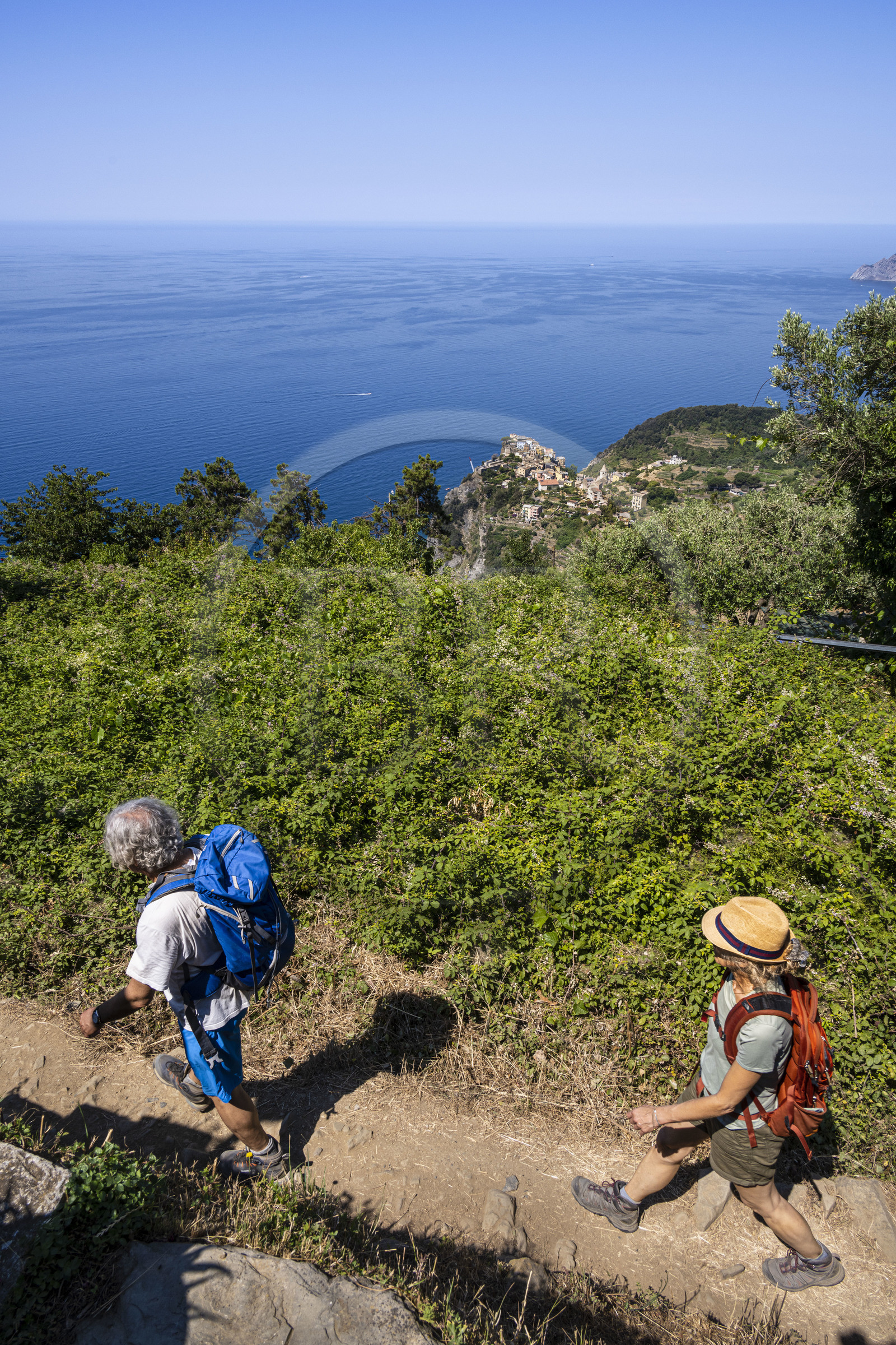 Italie, Ligurie, Cinque Terre, parc national des Cinque Terre classé Patrimoine Mondial de l'UNESCO, randonneurs montant sur le sentier GR 586 entre Corniglia et Volastra au dessus de Manarola, le village de  Corniglia en arrière plan