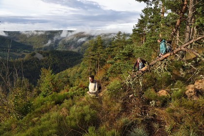 France, Ardèche (07), parc naturel régional des Monts d'Ardèche, massif du Mézenc, forêt de Lac-d'Issarlès, randonneurs au sommet de Montchamp dominant la vallée de la Loire