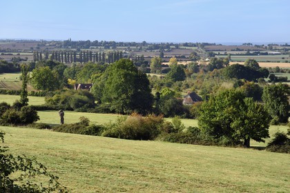 France, Calvados (14), Pays d'Auge, Mézidon Vallée d'Auge, paysage au lieu dit Le Doux Marais