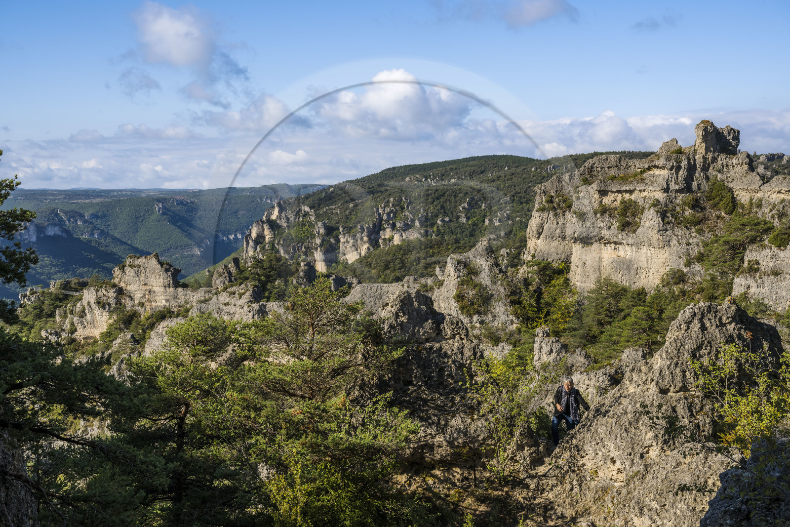 France, Aveyron (12), Causses et les Cévennes, paysage culturel de l'agro-pastoralisme méditerranéen, classés Patrimoine Mondial de l'UNESCO, Causse Noir, La Roque-Sainte-Marguerite, chaos de Montpellier-le-Vieux, la Cité de Pierres