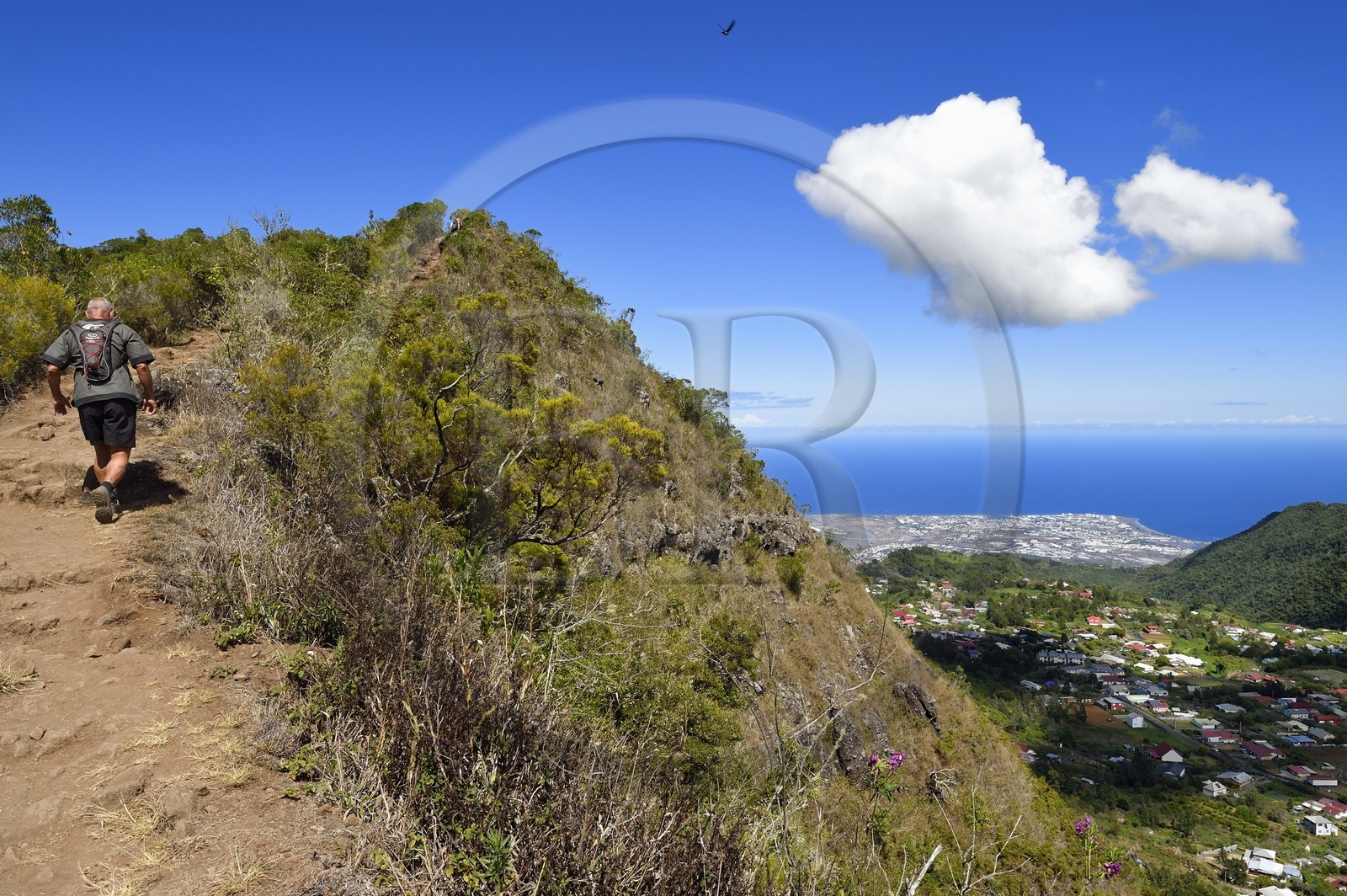 France, Ile de la Reunion, Parc National de la Réunion classé Patrimoine Mondial de l'UNESCO, La Possession, randonnée de la Roche Bouteille par le sentier Cap Noir, le village de Dos d'Ane et Le Port en arrière plan