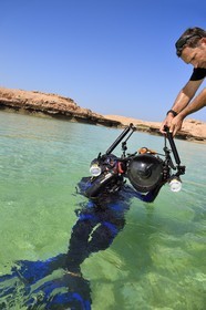 Sultanat d'Oman, gouvernorat de Mascate, réserve naturelle des Iles Daymaniyat, la photographe-plongeuse Maisa Al Hooti