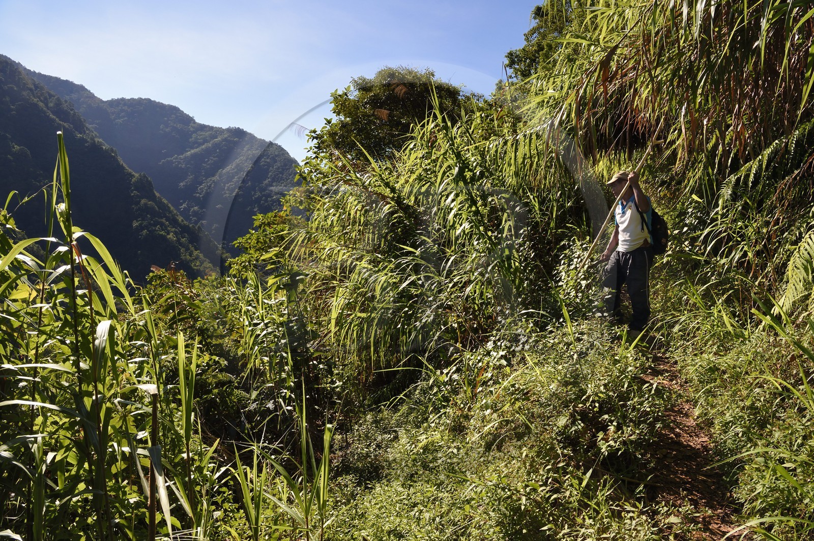 Philippines, province d'Ifugao, sentier reliant les villages de Cambulo et Batad dans les montagnes de Banaue