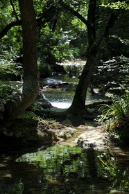 France, Var (83), Provence Verte, Tourves, rivière du Caramy dans les Gorges du Caramy