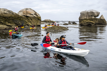 France, Finistère (29), Penmarch, archipel des Étocs, sortie en kayak du Centre nautique du Guilvinec à la découverte du phoque gris (halichoerus grypus) dans les rochers à marée basse