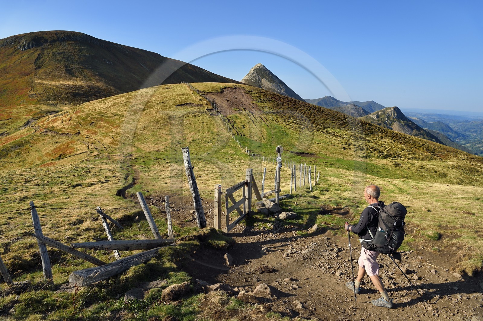 France, Cantal (15), Parc Naturel Régional des Volcans d'Auvergne, Le Lioran, col de Rombière surplombant la vallée de la Jordanne à droite, randonneur sur le chemin de Saint-Jacques de Compostelle par la Via Arverna, en arrière plan le Puy Griou émergeant