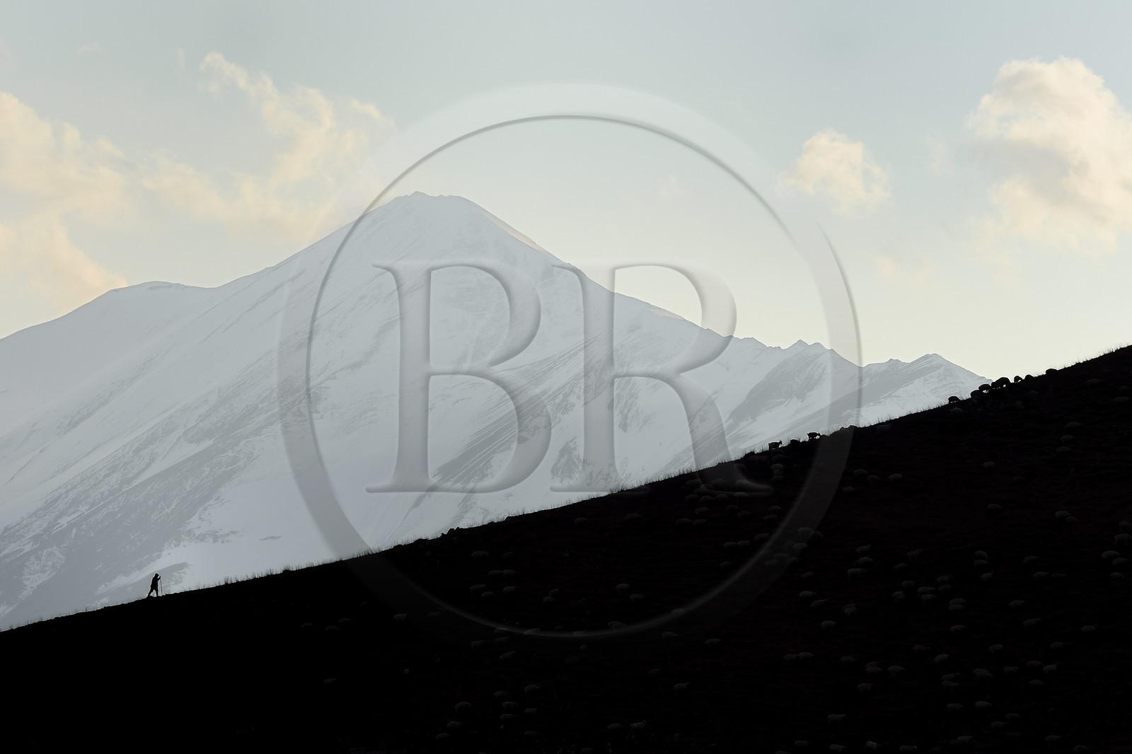 Azerbaijan, Quba (Guba) region, Greater Caucasus mountain range, hiking between the village of Qalaxudat and Giriz, shepherd and his flock of sheep
