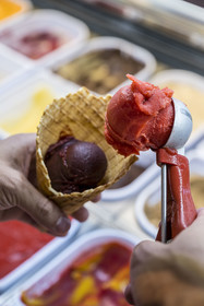 France, Loire-Atlantique (44), le célèbre glacier La Fraiseraie