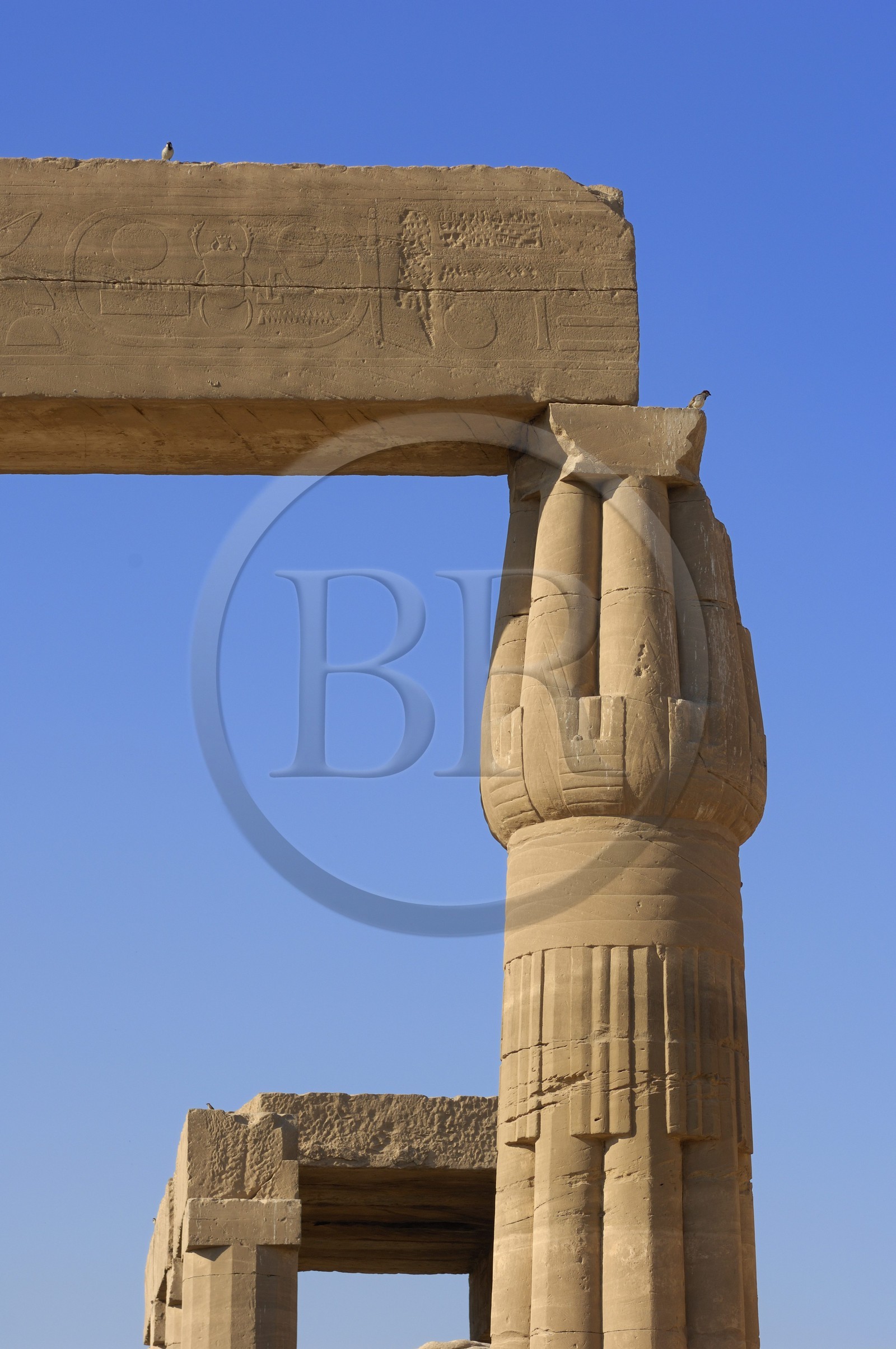 Egypte, Haute Egypte, vallée du Nil, Louxor, Karnak, classé Patrimoine Mondial de l'UNESCO, chapiteau papyriforme