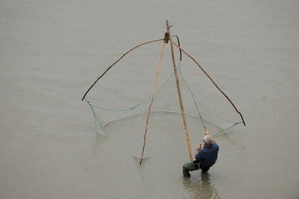 France, Manche, Bay of Mont Saint Michel, square dipping nets fishing