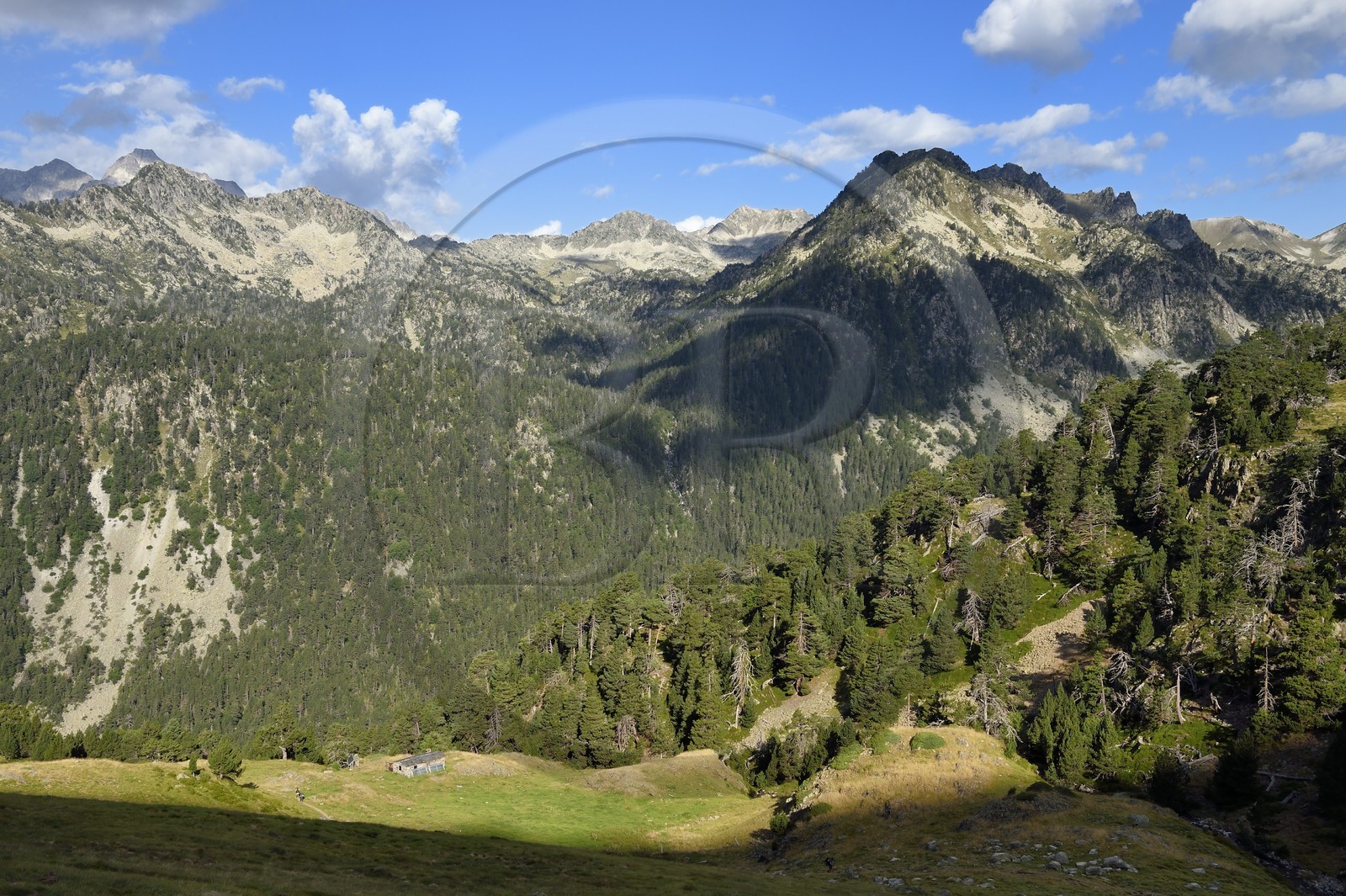 France, Hautes Pyrenees, Saint Lary Soulan and Vielle-Aure, hike on a variant of the GR10 between the Portet pass and the Bastan lakes on the edge of the Neouvielle nature reserve