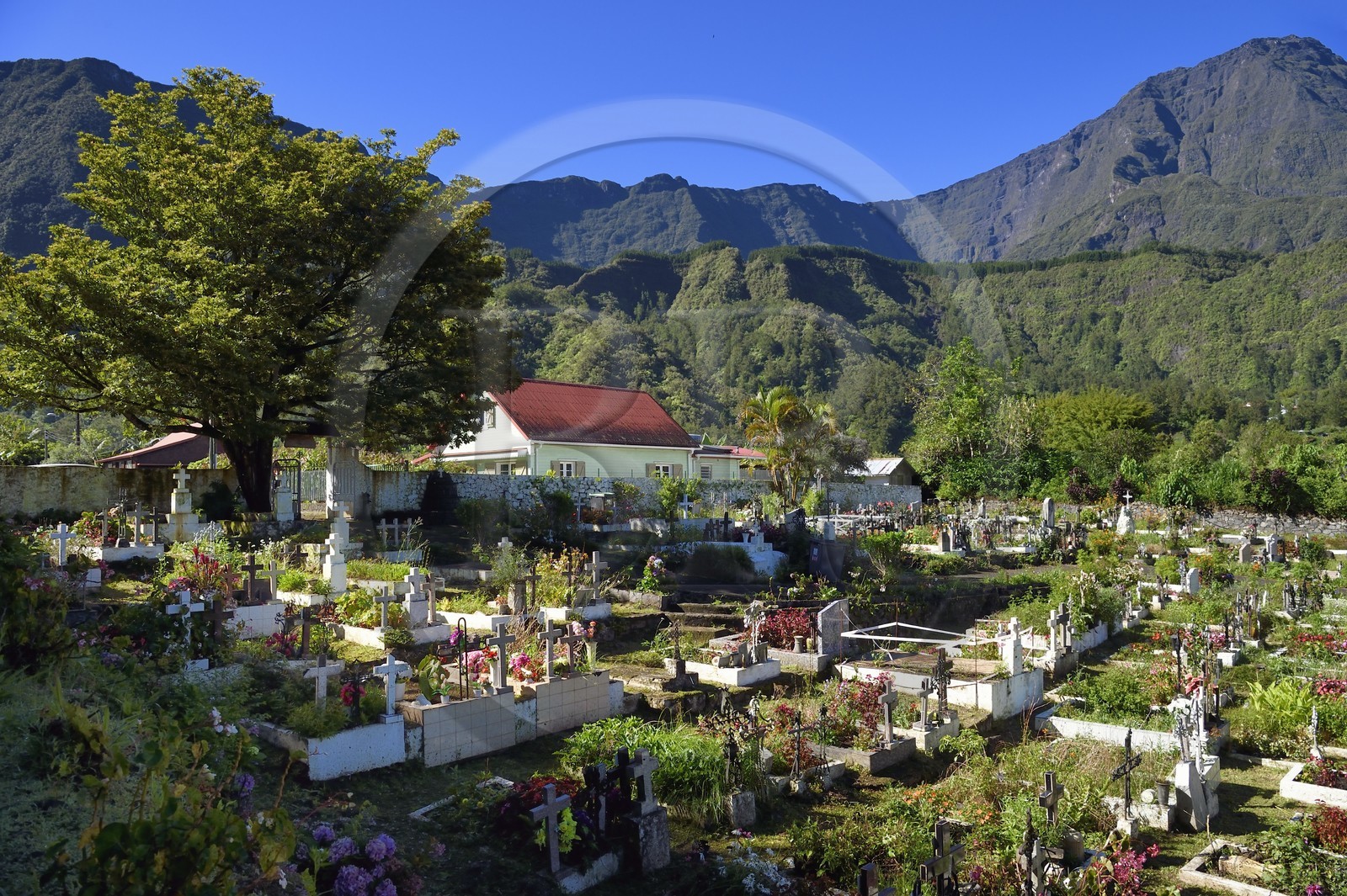 France, Ile de la Reunion, Cirque de Salazie, classé Patrimoine Mondial de l'UNESCO, Hell-Bourg, labellisé les Plus Beaux Villages de France, le cimetière constitué de tombes en pleine terre fleuries naturellement, la montagne du Piton des Neiges en arrière plan