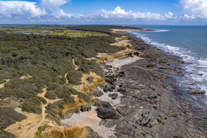 France, Vendée (85), Jard-sur-Mer, la Pointe du Payré (vue aérienne)