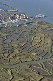 France, Charente-Maritime (17), bassin de Marennes-Oléron, La Tremblade, port de la grève (vue aérienne)