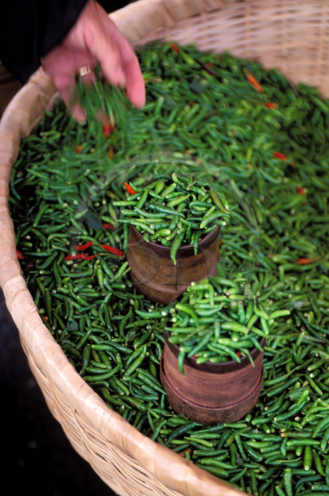 France, île de la Réunion, vente de petits piments verts sur le marché de Saint-Pierre