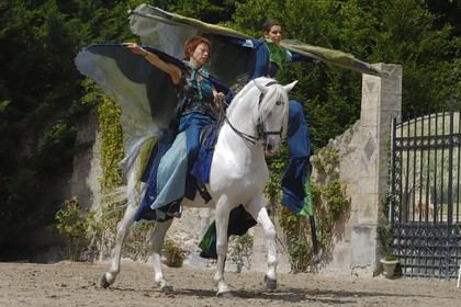 France, Loir et Cher (41), château de Chambord, spectacle d' Art équestre