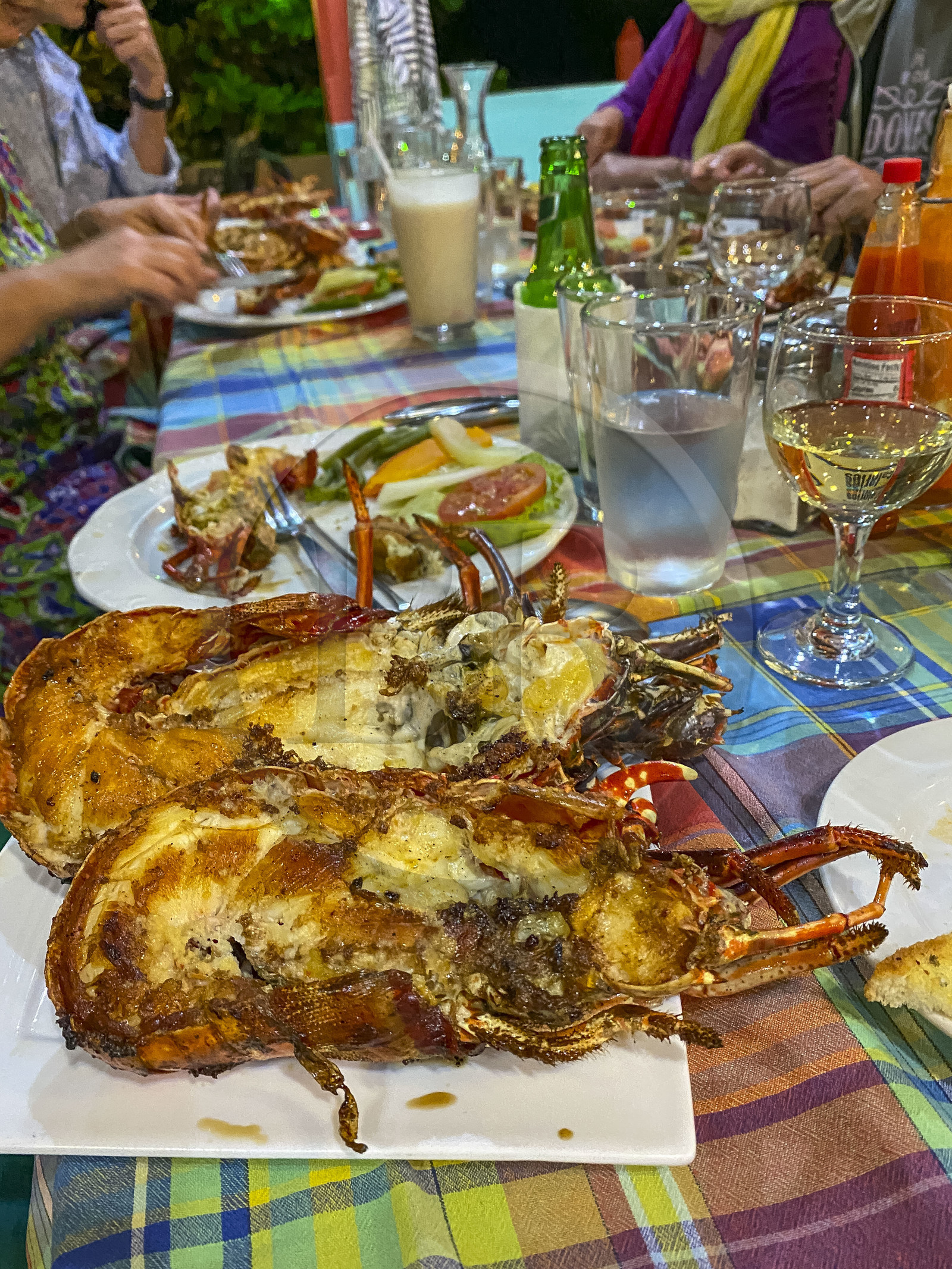 Caraïbes, Ile de la Dominique,