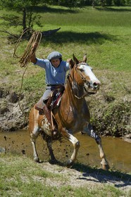 Argentine, province de Buenos Aires, San Antonio de Areco, estancia La Bamba de Areco, gaucho au travail remontant la rivière