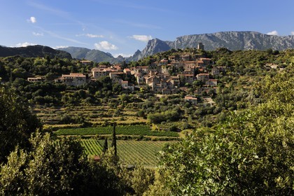 France, Hérault (34), vallée de l' Orb, village de Vieussan au lointain et vignoble AOC Saint-Chinian & Roquebrun