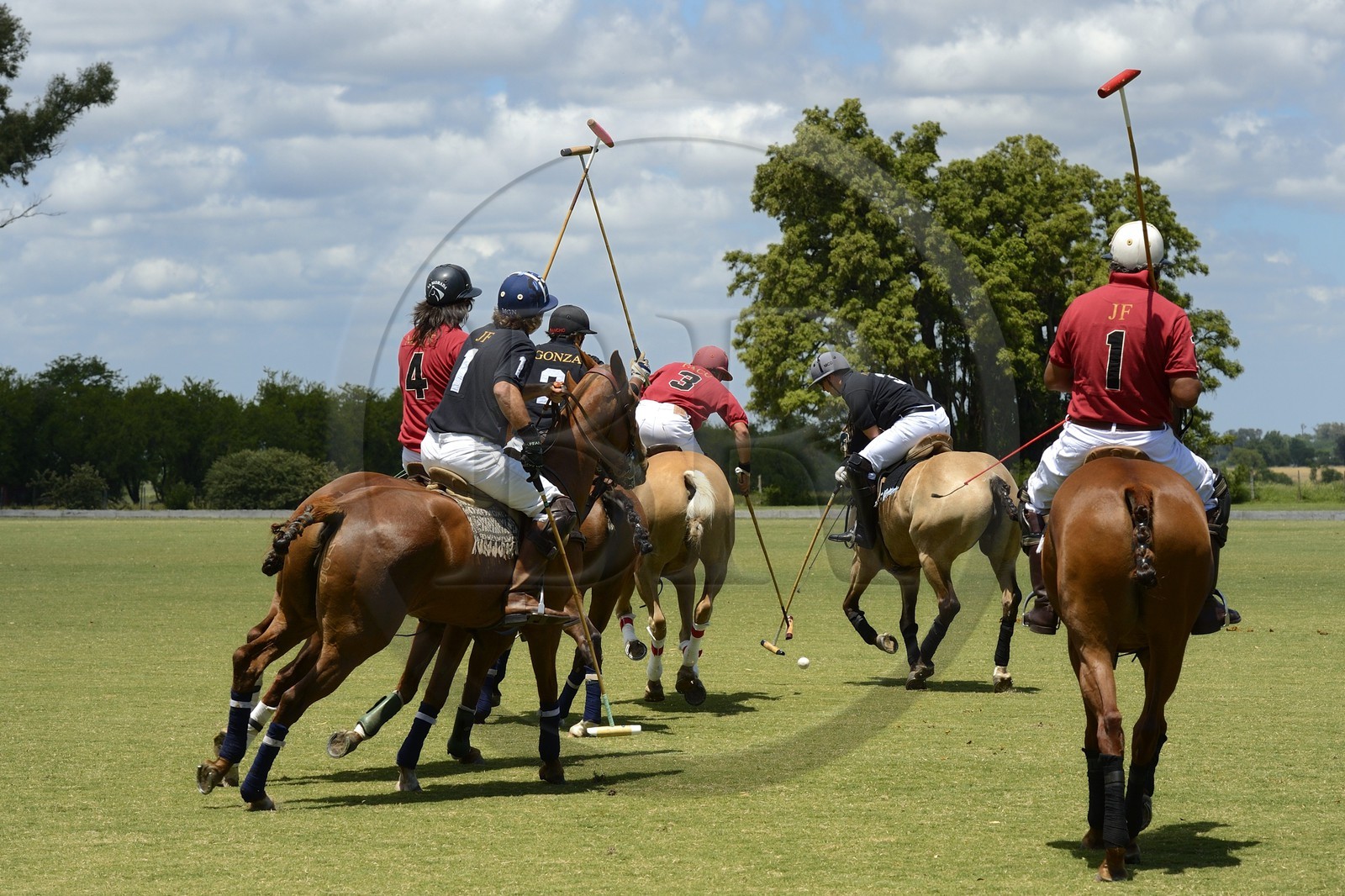 Argentine, province de Buenos Aires, San Antonio de Areco, estancia La Bamba de Areco, match de polo