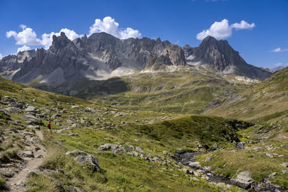 France, Hautes Alpes (05), le Briançonnais, Névache, randonneuse avec ses chiens dans la haute vallée de la Clarée, le massif des Cerces en arrière-plan