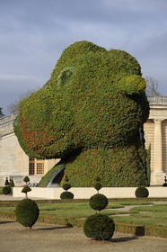France, Yvelines (78), château de Versailles, classé Patrimoine Mondial de l'UNESCO, le parterre de l'Orangerie de Jules Hardouin-Mansart, le Split-Rocker de Jeff Koons
