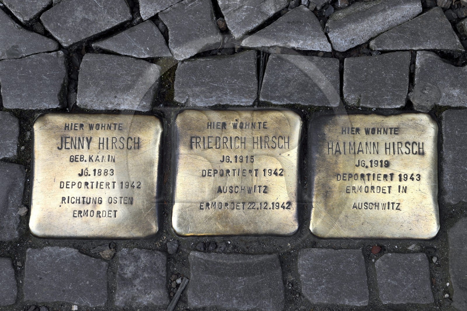 Allemagne, Berlin, Spandauer Vorstadt dans Berlin-Mitte, Encastrés dans les trottoirs de 63 villes allemandes, les Stolpersteine rendent hommage aux déportés