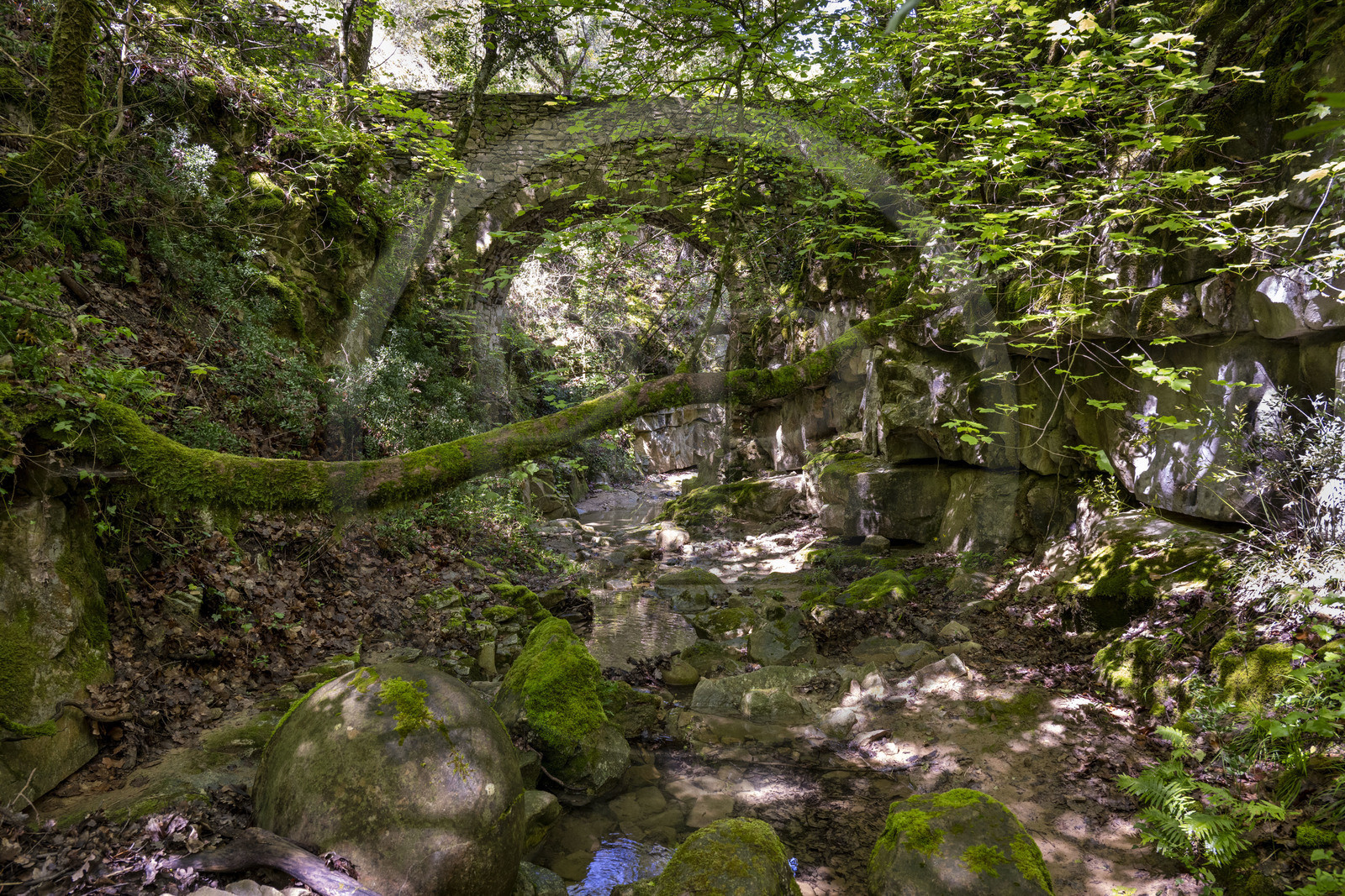 France, Vaucluse, Dentelles de Montmirail mountains, Sablet, the Trignon river overlooked by the old bridge of the ruined 7th century abbey of nuns in the Prébayon valley