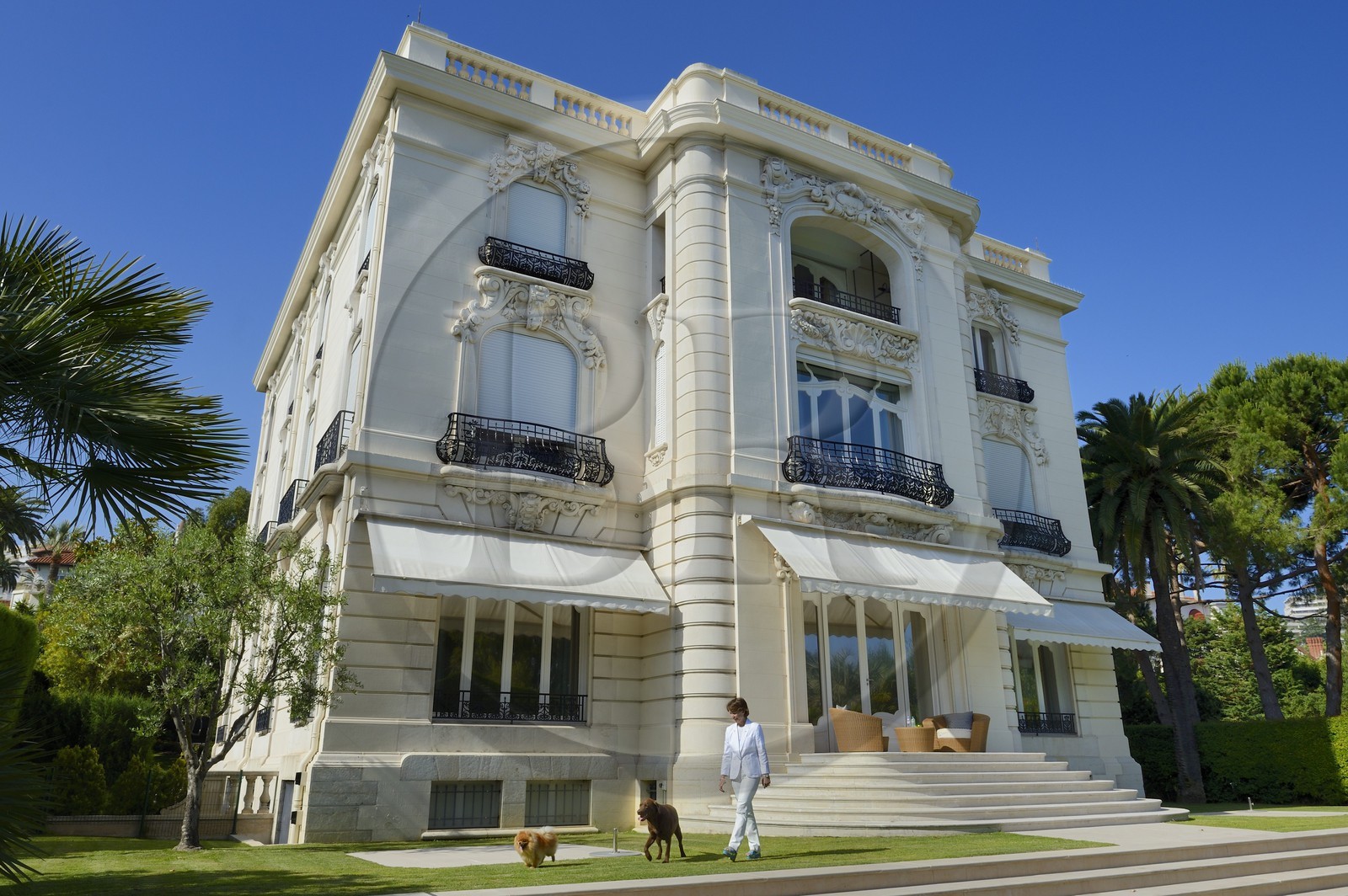 France, Alpes-Maritimes (06), Cannes, la villa La Californie où vécu Pablo Picasso, aujourd'hui renommé le Pavillon de Flore par Marina Picasso, Marina Picasso petite fille de Picasso en compagnie de ses chiens