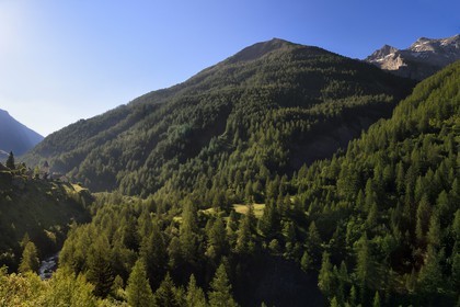 France, Alpes-de-Haute-Provence (04), Uvernet-Fours, massif du Mercantour, vallée de l'Ubaye, vallée de la Bachelard vers le col de la Cayolle (2326 m), clocher de l'église de Fours au bord de la route des Grandes Alpes