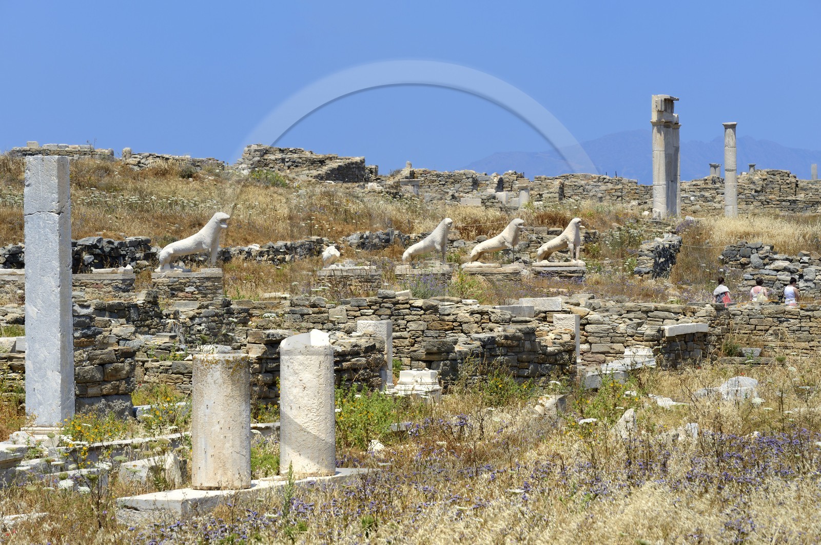 Greece, Cyclades islands, Delos, listed as World Heritage by UNESCO, the archaeological site of Delos, Apollo's Sanctuary, the most ancient city of the Aegean Sea, the Terrace of the Lions