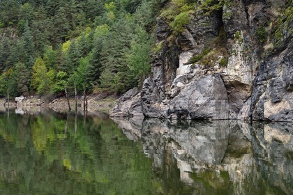 France, Cantal (15), Gorges de la Truyère, Chaliers, la rivière Truyère en amont du viaduc de Garabit, troncs d'arbres morts vestiges de la foret noyée