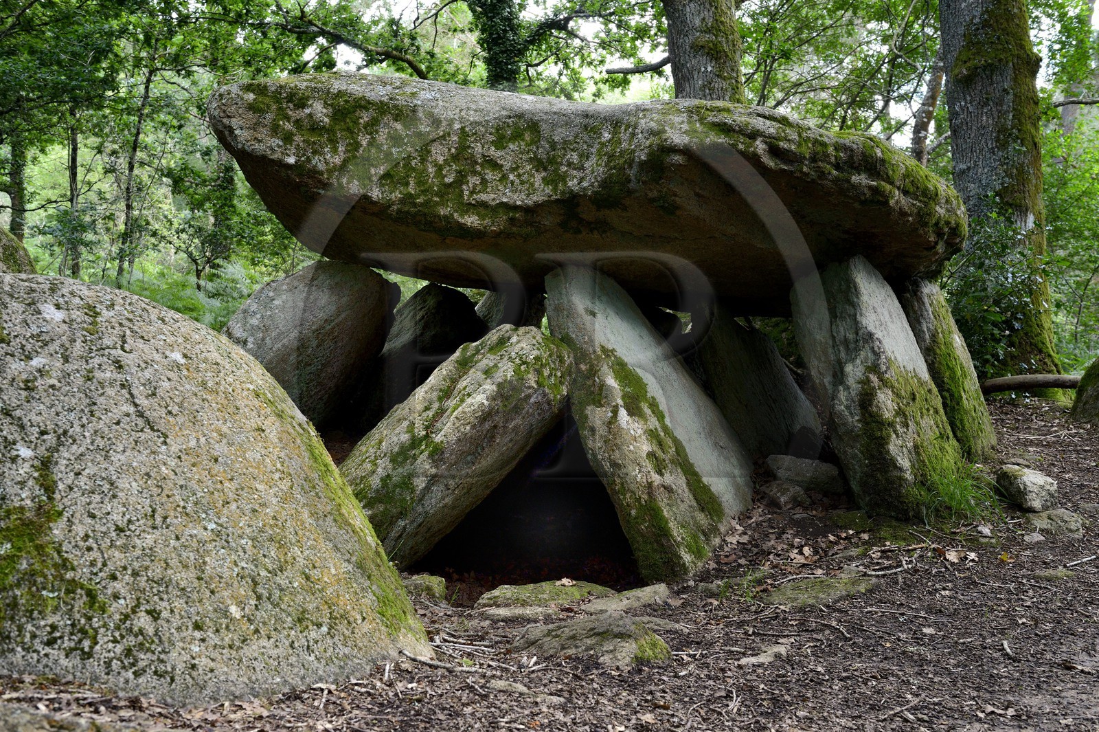 France, Morbihan (56), Trédion, dolmen de la Loge au loup, allée couverte datée de plus de 4500 ans