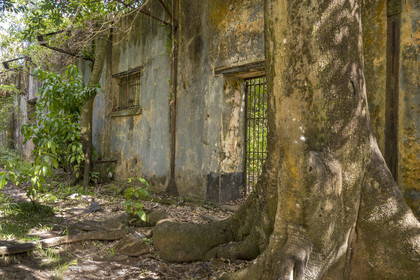 France, Guyane, Kourou, Iles du Salut, l'Ile Saint-Joseph, ruine du bagne consacré à la réclusion des prisonniers les plus difficiles