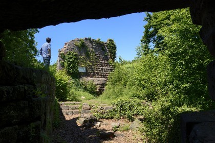 France, Bas Rhin, Saverne, Petit Geroldseck castle from the 13th century