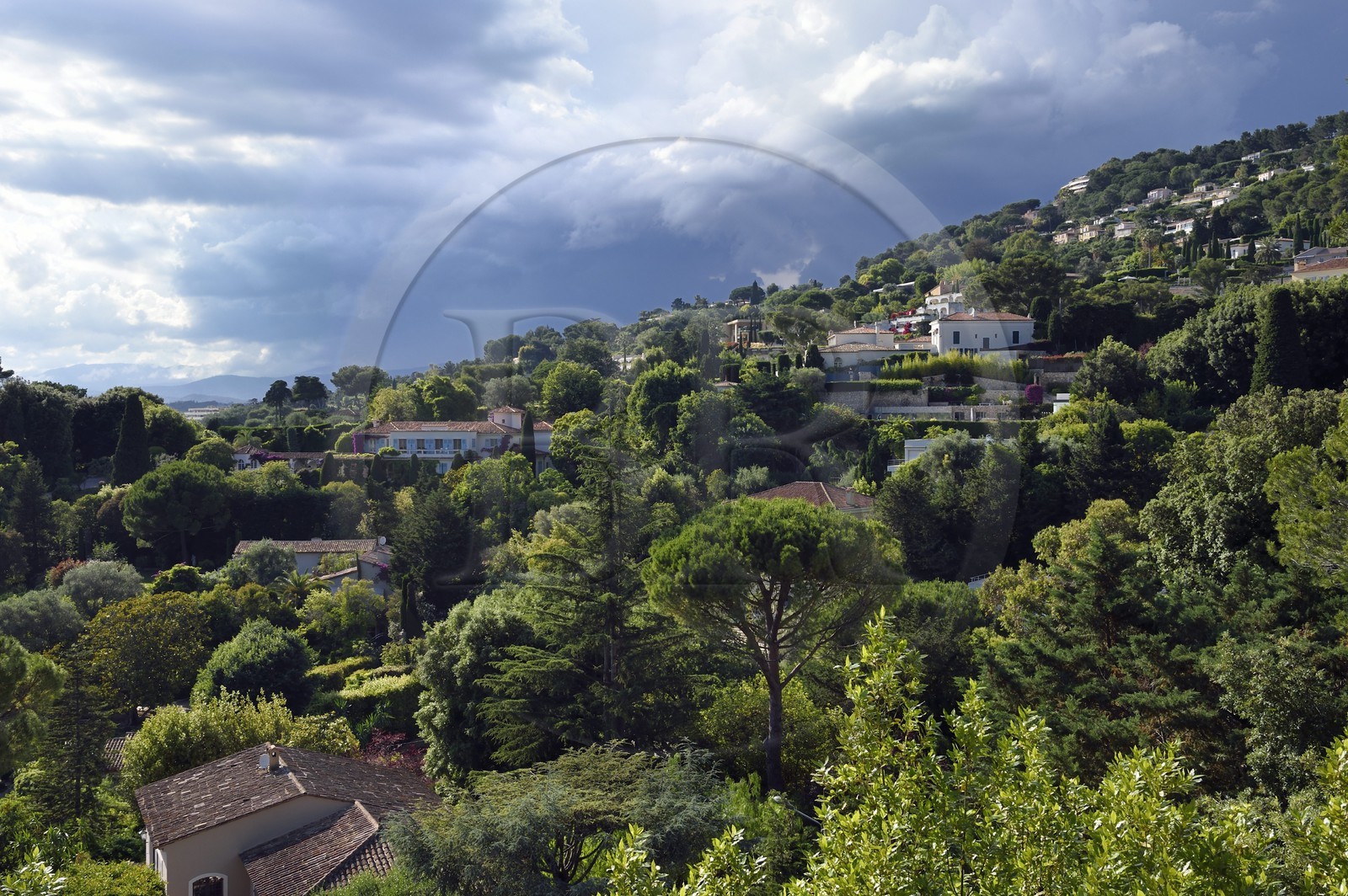 France, Alpes-Maritimes, Cannes, la Californie district