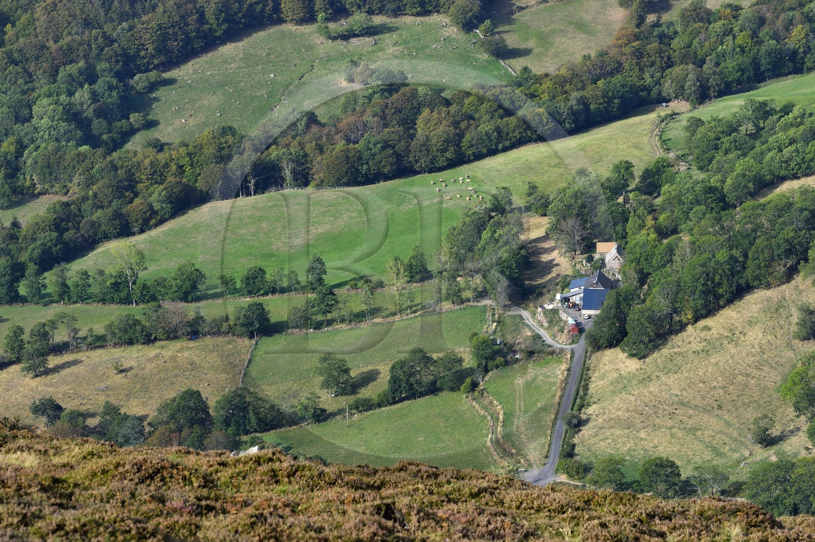 France, Cantal, Parc Naturel Régional des Volcans d'Auvergne (regional nature park of Auvergne volcanoes), Brezons valley, Sanissage farm