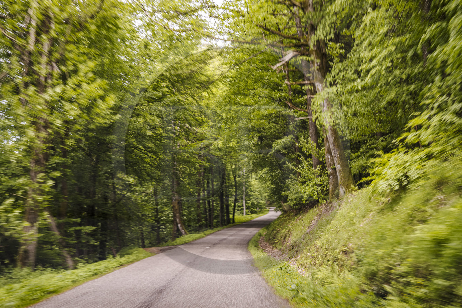 France, Bas-Rhin (67), Wingen-sur-Moder, la route départementale D256 à la sortie du village en direction du Nord