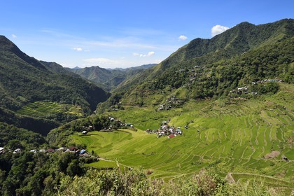 Philippines, province d'Ifugao, les rizières en terrasses de Banaue autour du village de Batad, classées Patrimoine Mondial de l'UNESCO, alimentées par un ancien système d'irrigation depuis la forêt tropicale au-dessus des terrasses