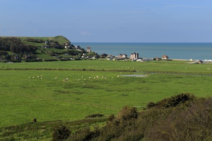 France, Seine-Maritime (76), Pays de Caux, Veulettes-sur-Mer, vue de la vallée de la Durdent