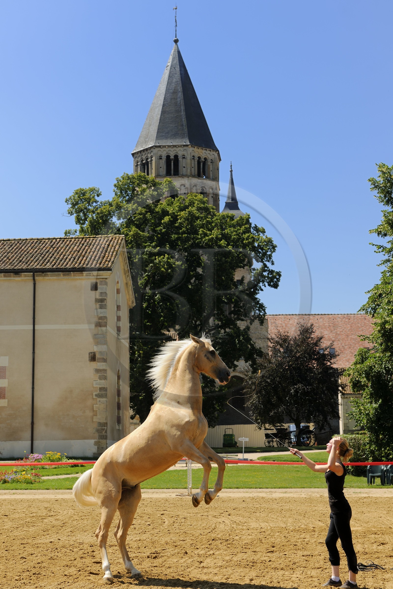 France, Saône et Loire (71), Cluny, le Haras national, Emeline Hussenet artiste équestre avec le cheval Pyrame